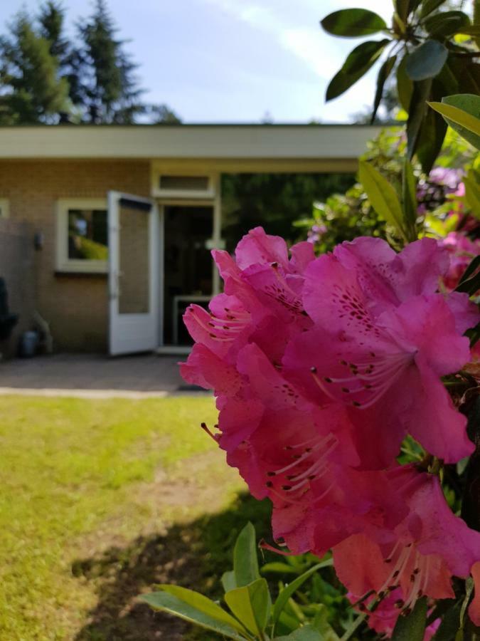 Bungalow Hartje Veluwe Otterlo Dış mekan fotoğraf